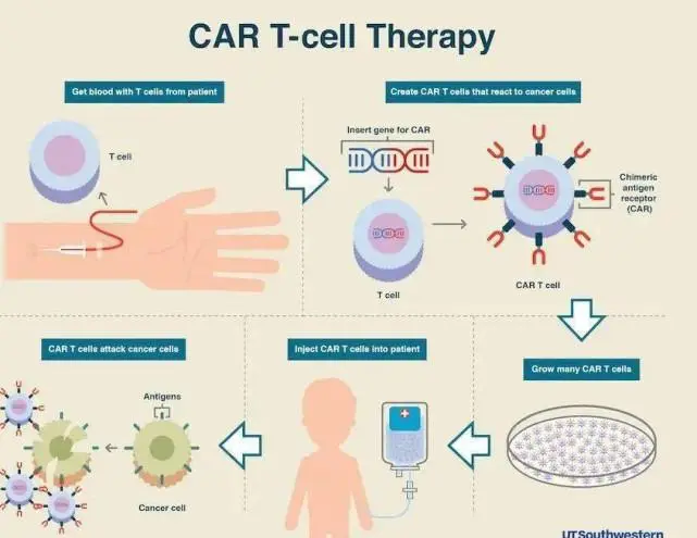 car-t是啥(car-t权益卡有什么用)-第4张图片-贝灵顿wiki