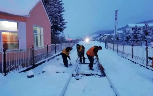 东北怎么一下就是暴雪呢-第11张图片-贝灵顿wiki