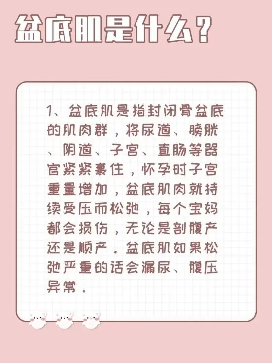 为什么要做产后修复?产后修复的好时期在什么时候?-第6张图片-贝灵顿wiki