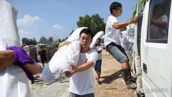 王宝强开的什么车(王宝强开百万豪车接儿子,主动出轨的马蓉会后悔吗?)-第21张图片-贝灵顿wiki